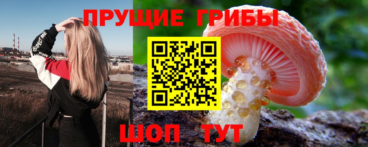 Псилоцибиновые грибы Magic Shrooms  Вход с VPN  Коркино 